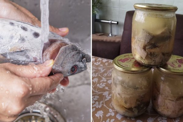 Тушенка из рыбы «Как в детстве», чтобы вспомнить вкус качественных рыбных консервов