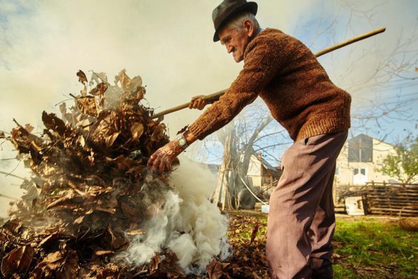 Нужно ли сжигать опавшие листья