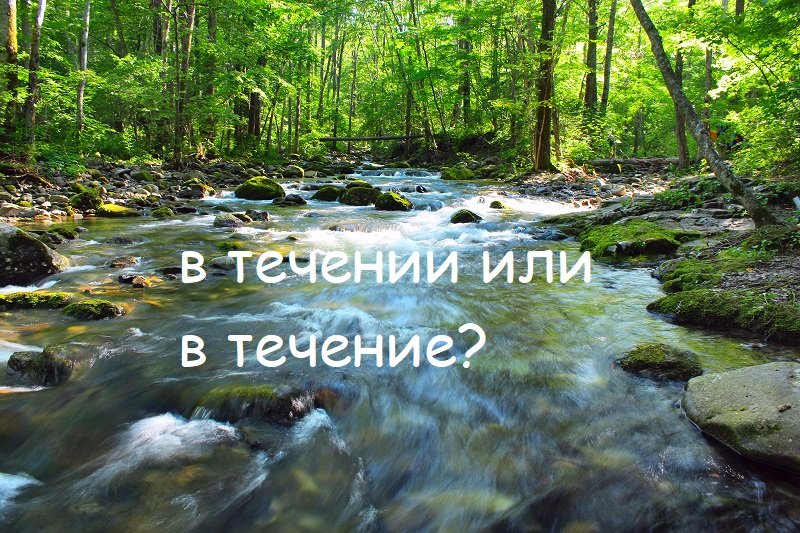 в течении или в течение
