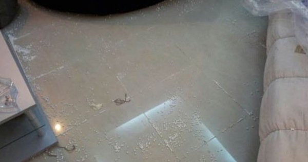 Райский уголок своими руками! Вот так ты можешь дешево сделать удобную кровать.