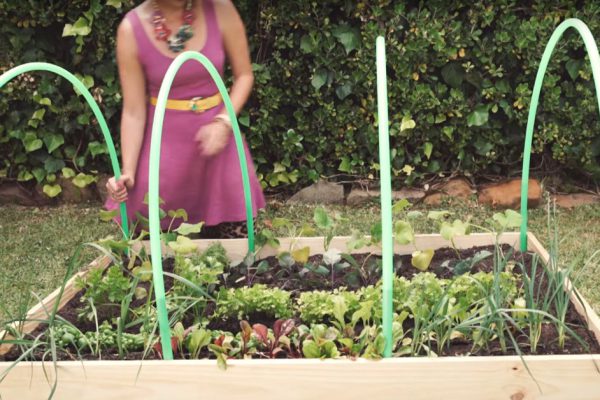 Как сделать парник при помощи гимнастических обручей: мне нужно было узнать это раньше!