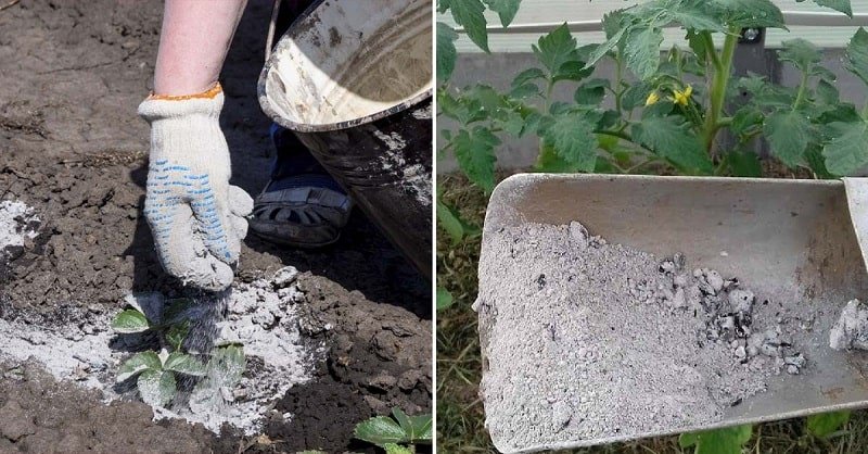 удобрения для сада