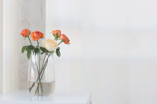roses in vase on white table