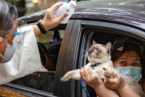 Благодушный священник окропил домашних животных в знак защиты от коронавируса