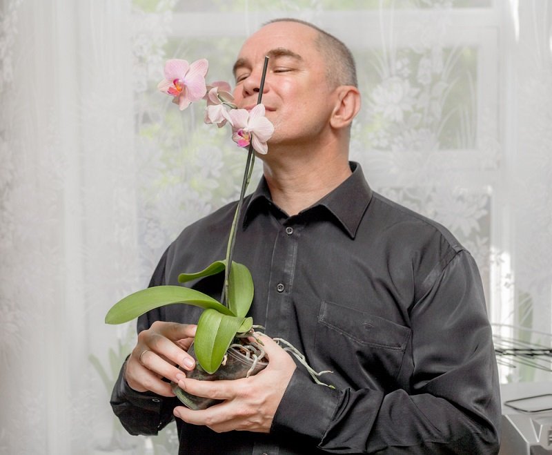 ako sa starať o orchidey v hrnci