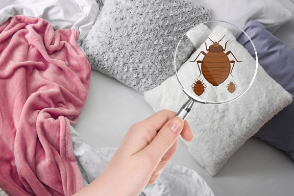 Сколько раз в месяц нужно стирать подушки