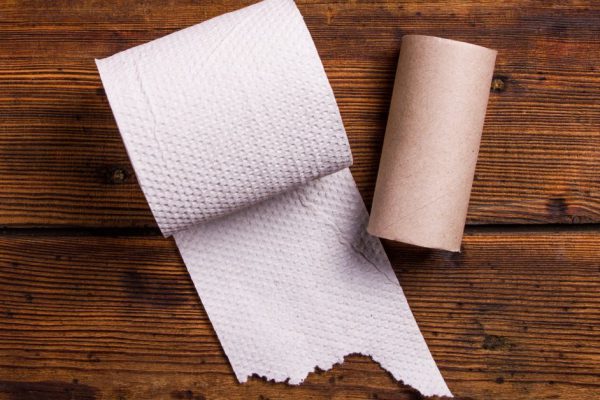 На что истратить половину запасов туалетной бумаги