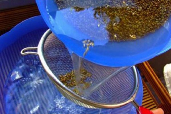 2 стакана этого питья в день помогут похудеть и снизить сахар в крови! Только семена и кипяток.