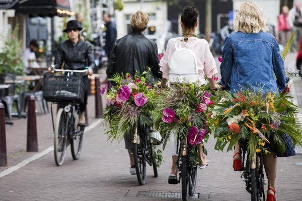 Всю жизнь мечтала побывать в Амстердаме, но путешествие не принесло ничего, кроме разочарования