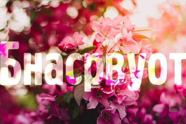 Только абсолютные гении отвечают на все 10 вопросов, проверь, насколько ты умен