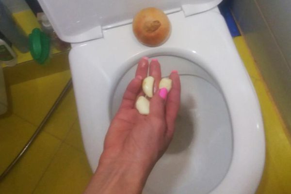 Перед сном бросаю в унитаз два зубчика чеснока, чем экономлю деньги из семейного бюджета