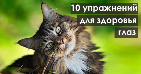 10 упражнений для здоровых глаз. Просто, эффективно и без лишних затрат времени!