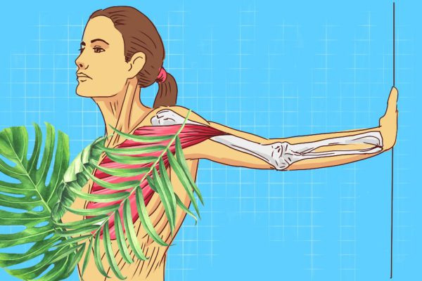 Женщинам после 34 — обязательно! Лучшие упражнения для укрепления грудных мышц от Камиллы Волер.