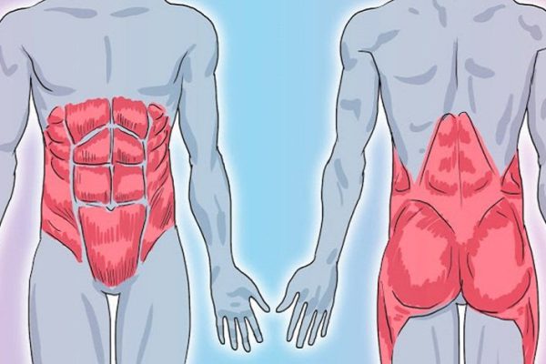 Как повысить тонус мышц туловища: сексуальный пресс и королевская осанка гарантированы!