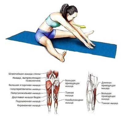 упражнения на растяжку