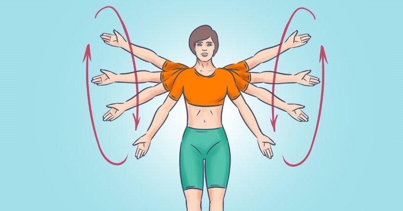 Какие упражнения для рук и плеч нужно выполнять чаще Здоровье,Мышцы,Руки,Спорт,Тренировка,Упражнения