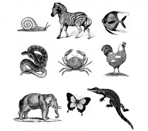 головоломки