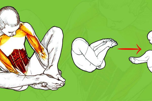 Для ровного хребта и сильных брюшных мышц! Упражнение «Тюлень» растягивает мышцы, разгибающие…