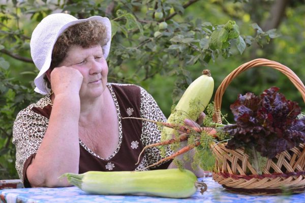 Почему я больше не раздаю свой урожай кабачков другим