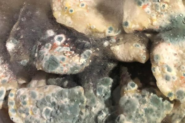 Почему воины настойчиво просят не слать им паски и вареники, очень жалко усилий и времени