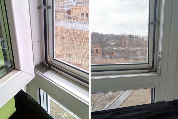 Сперва осудила установщика окон, что сказал не снимать сетки на зиму, а потом подарила ему шоколадку за совет