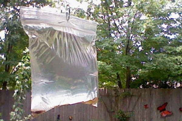 Она бросила 4 монетки в полиэтиленовый пакет с водой… Не надеялся на такой результат!