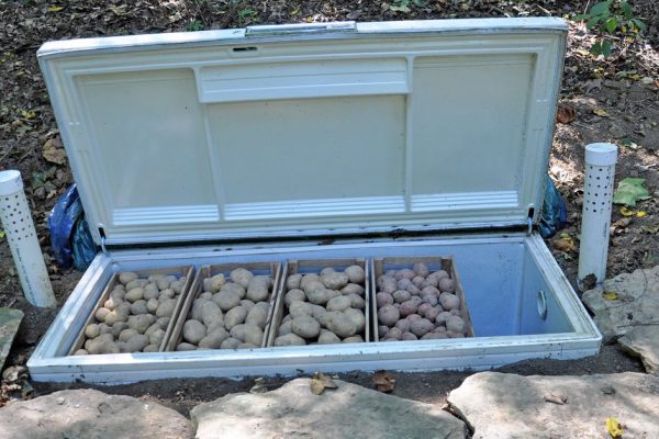 Как поступить со старым холодильником