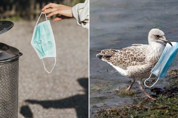 Почему нельзя выбрасывать медицинские маски в мусорное ведро