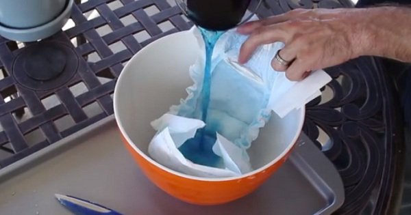 Этот человек использует подгузники в садоводстве. То, до чего он додумался, — просто гениально!