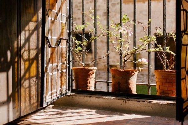 Чтобы устроить маленькую Италию на открытом балконе, нужно лишь посадить клематис и жасмин