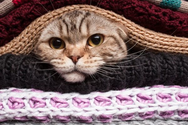 Схемы различных узоров для свитеров