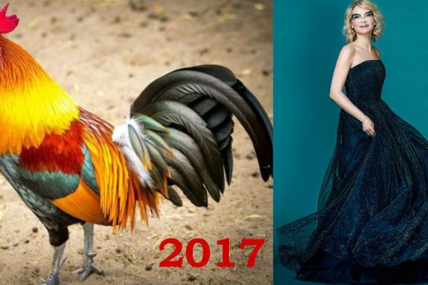 Эвелина Хромченко рассказала, в чём встречать год Огненного Петуха!