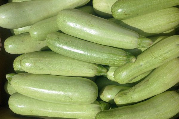 Рецепт заготовки на зиму из кабачков