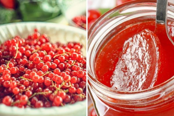 Рецепт цыганского варенья из красной смородины
