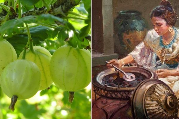 Необычное варенье из крыжовника