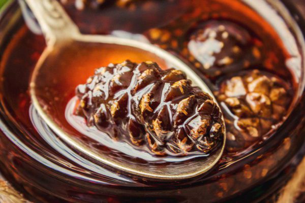 Как приготовить варенье из шишек