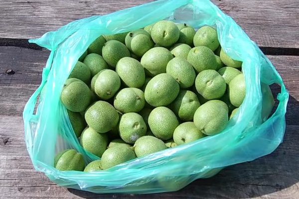 Варенье из зеленых орехов по рецепту молодой жены из Узбекистана