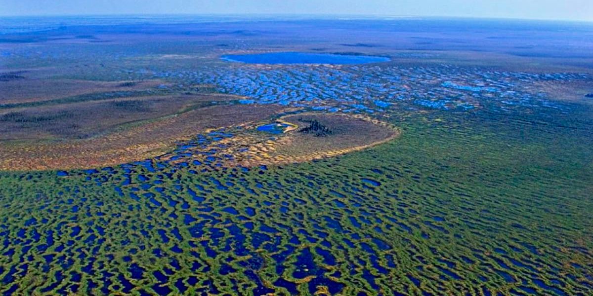 Оказывается, самое обширное болото на планете находится в России
