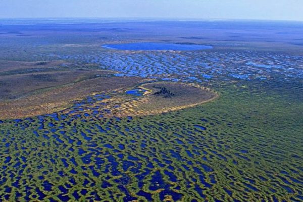Оказывается, самое обширное болото на планете находится в России