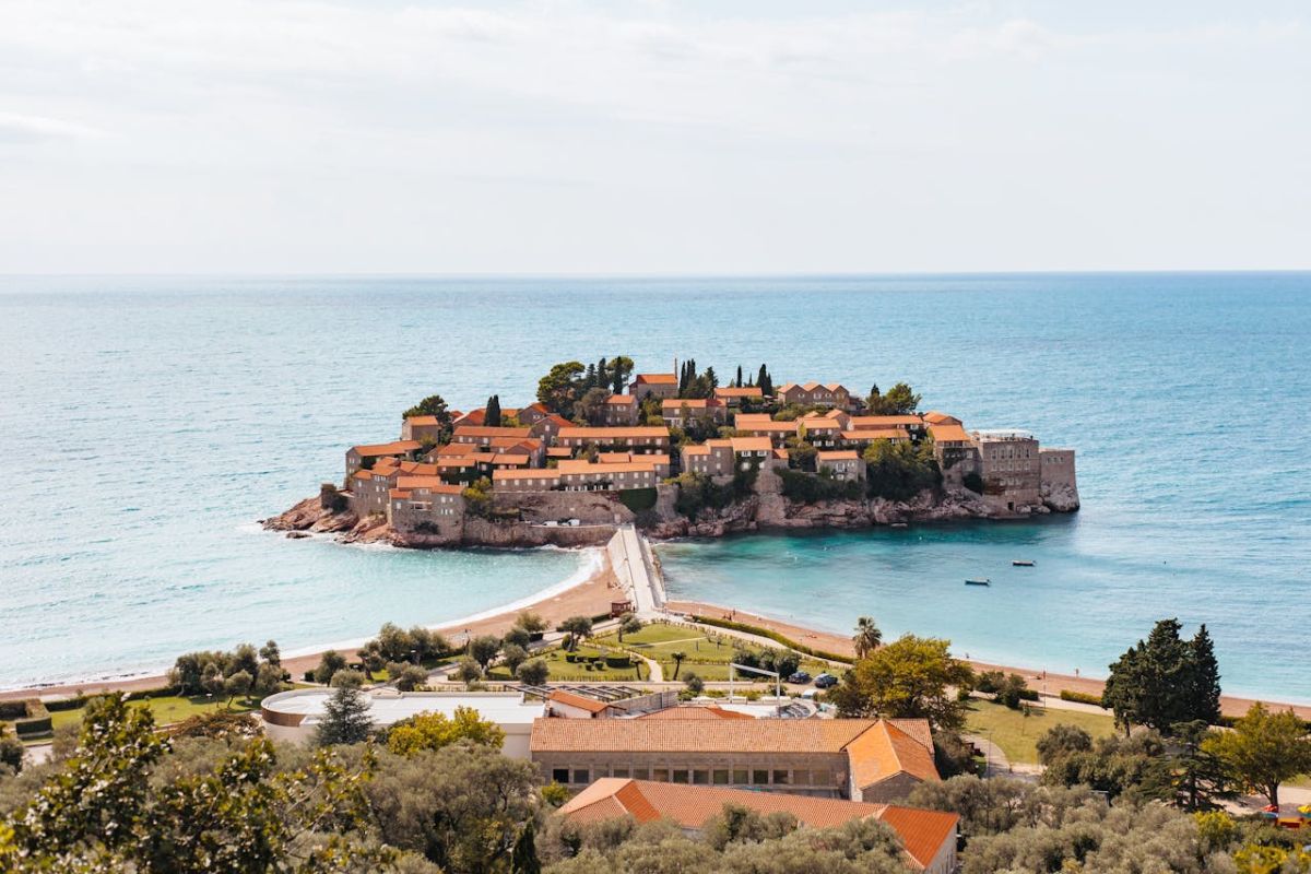 верица обренович