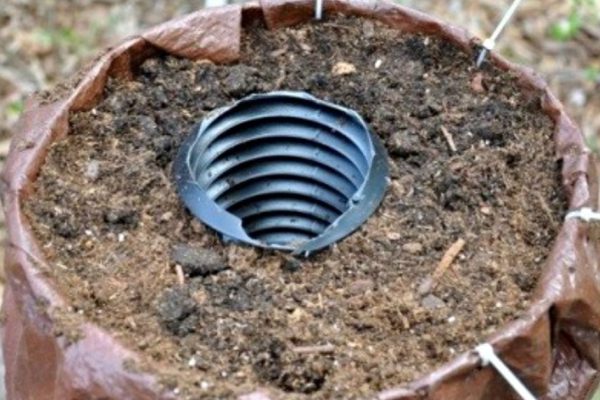 Стоит поместить пластиковую трубу в контейнер, чтобы через пару недель увидеть чудо!