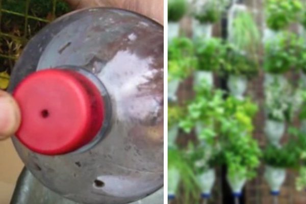 Вертикальные грядки для старательных огородников