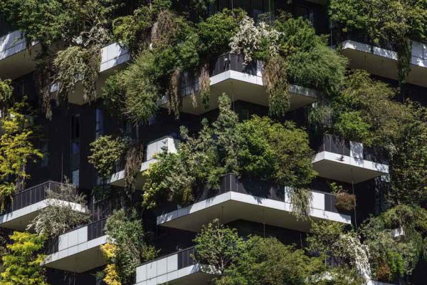 Увенчалась ли успехом идея итальянских строителей разбить лес посреди города и соединить его с многоэтажным зданием