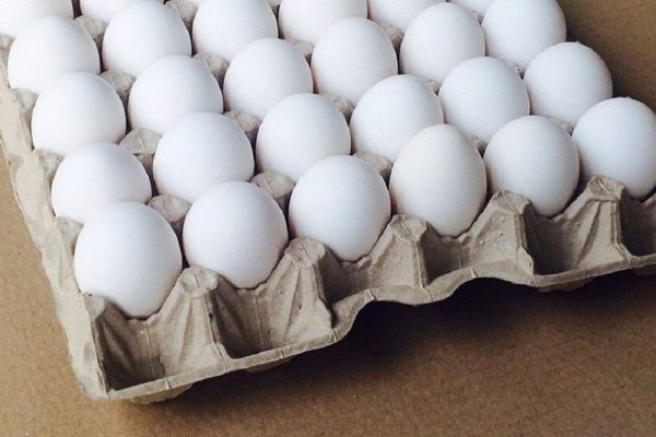 Во что превратить бумажный лоток от яиц весной