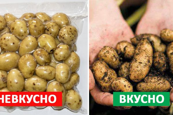 Как правильно выбрать молодой картофель? Этой хитрости меня научил один продавец!