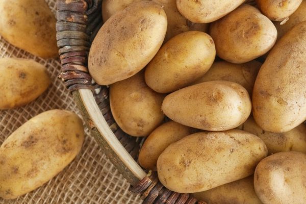 basket of fresh tasty potatoes placed on the sack
