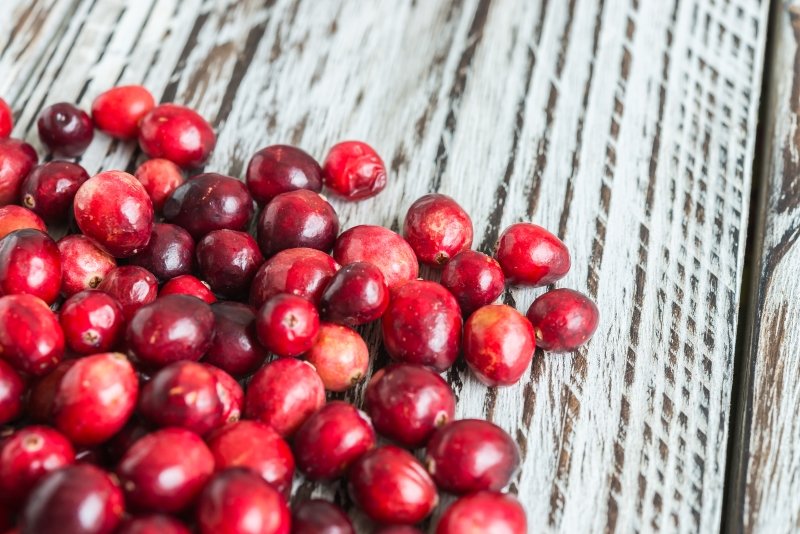 закуска из кабачков к праздничному столу