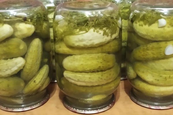 Помню, в детстве обожали маринованные огурцы, производитель — Болгария