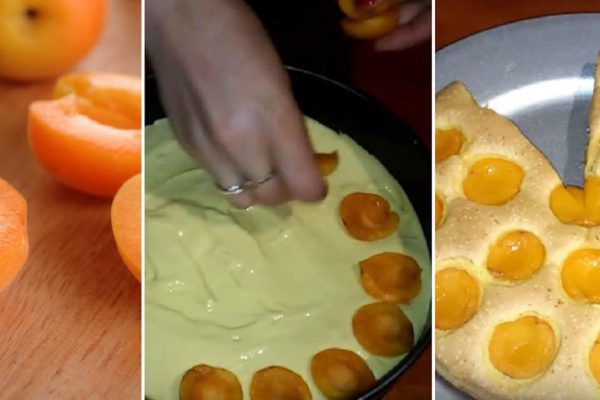 Рецепт простого абрикосового пирога