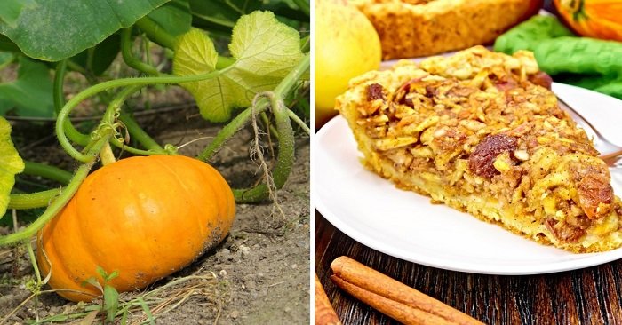 тыквенный пирог в мультиварке